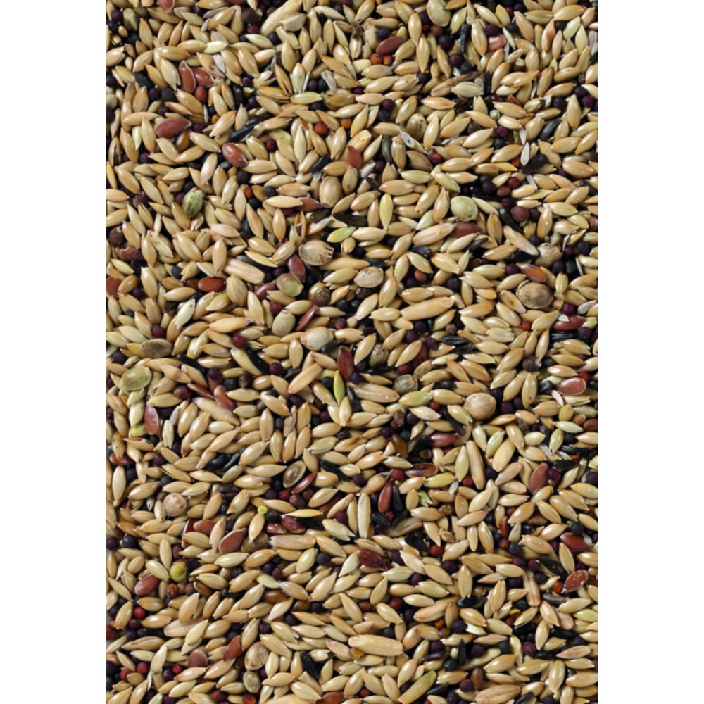 Deli Nature Premium Kanarie 1 kg