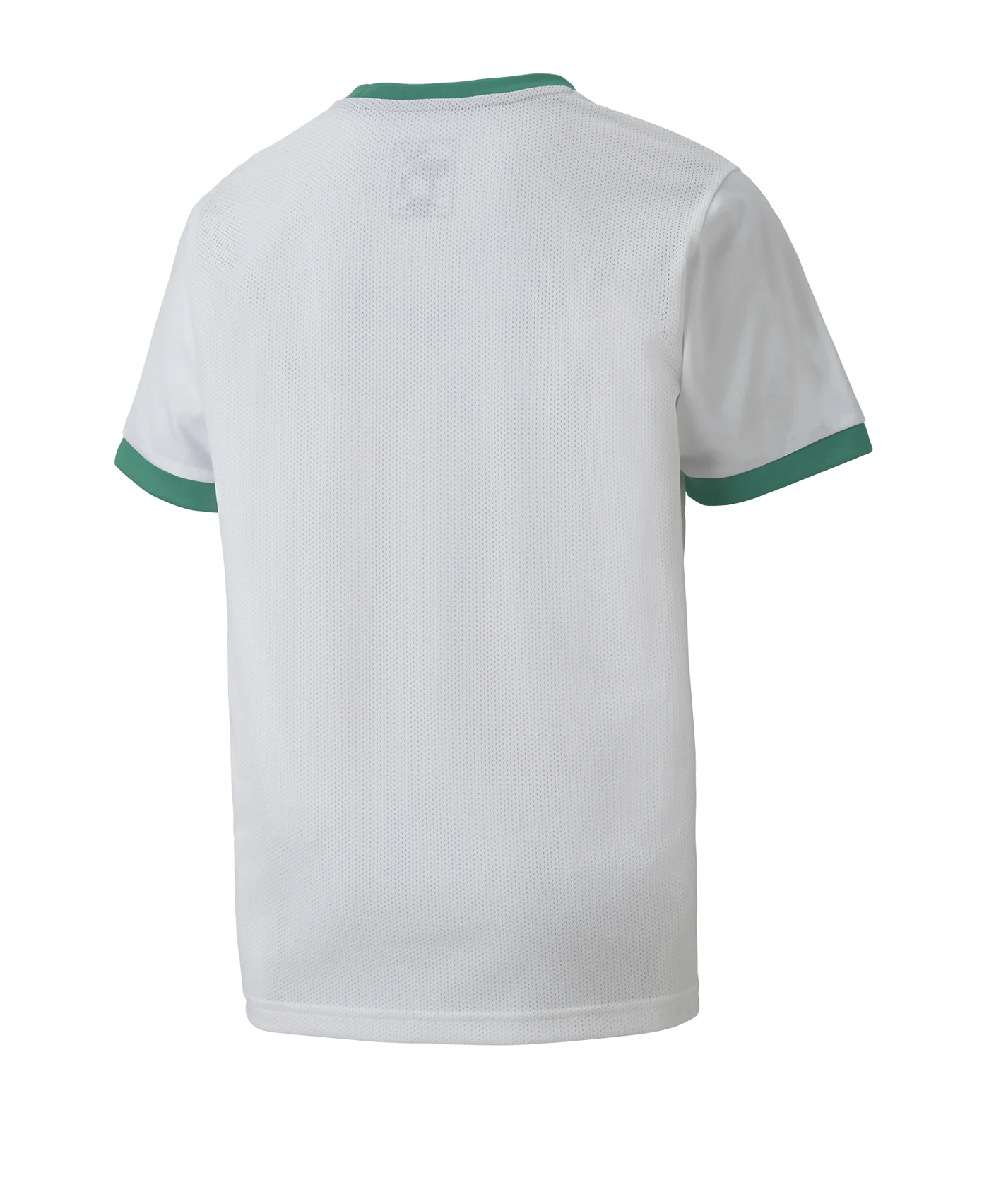 PUMA teamGOAL 23 Trikot kurzarm Kids Weiss F15