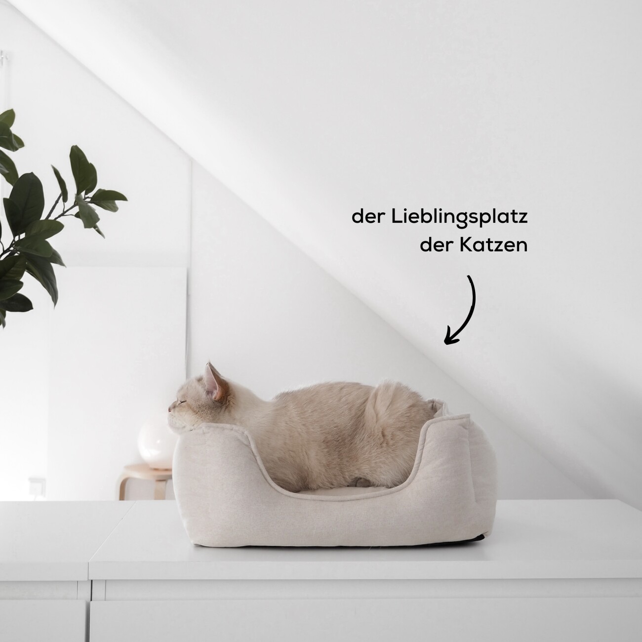 Minty&Marla Schlafplatz Körbchen Katzenbett Linen