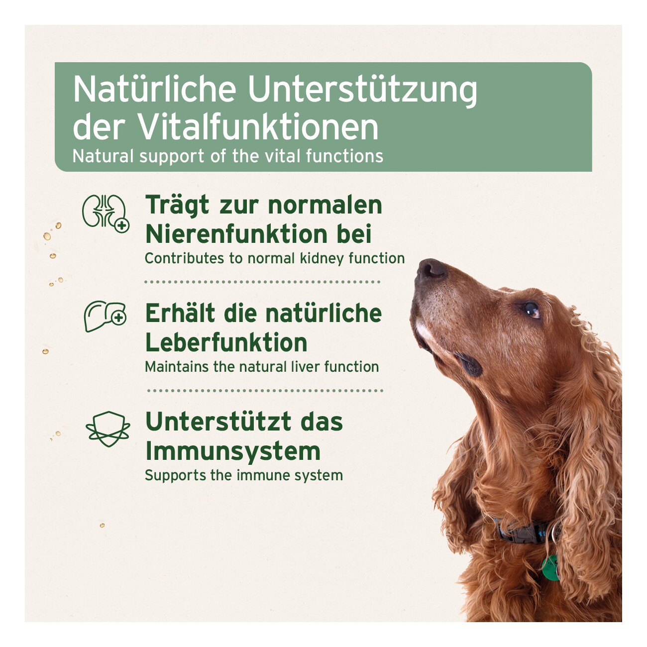 AniForte Bio Ägyptisches Schwarzkümmelöl 500ml