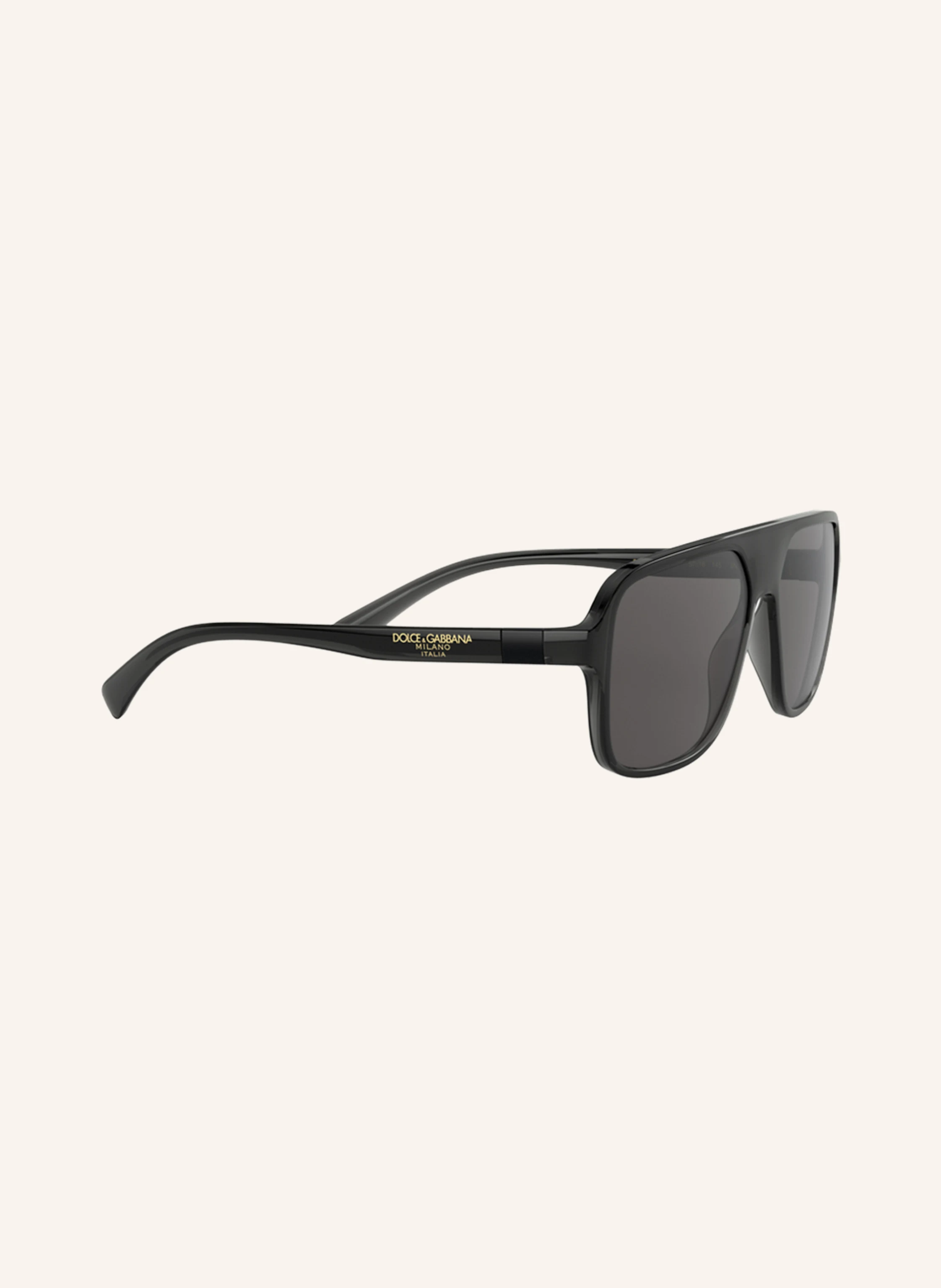 DOLCE & GABBANA Sonnenbrille DG 6134