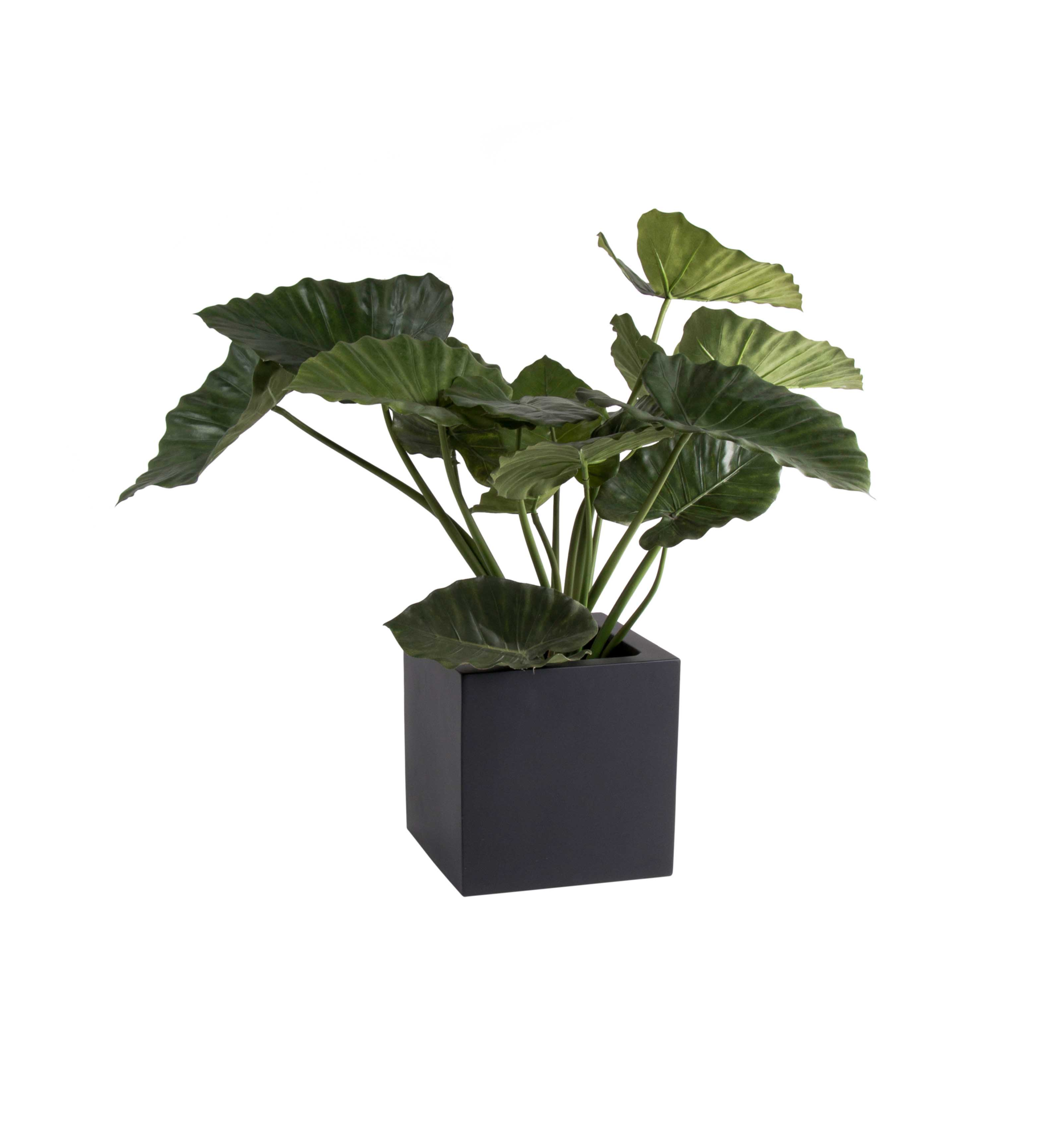 Plantenpot El Salvador black L60 x B60 x H60cm