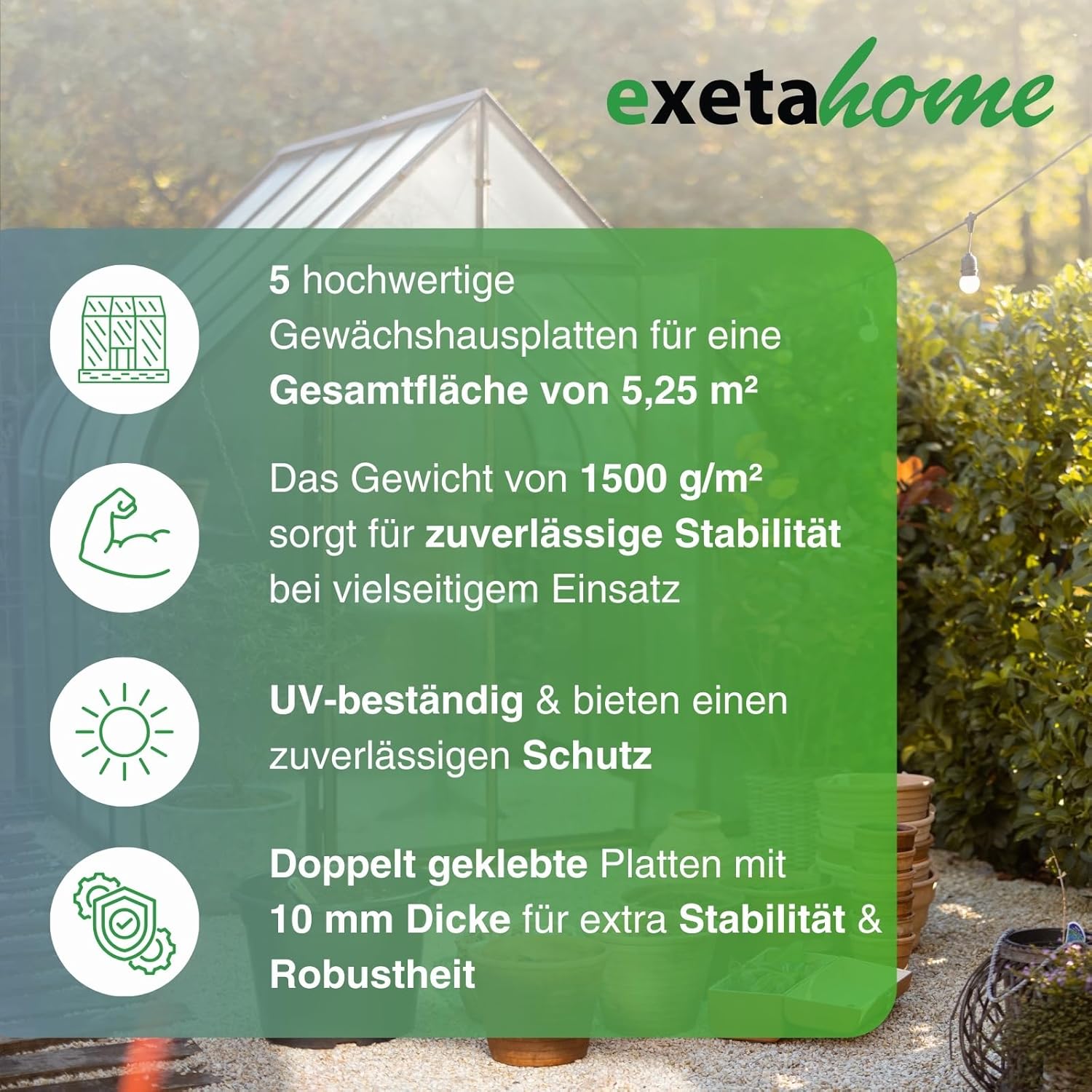 5x Gewächshausplatten 10mm I Polycarbonat Hohlkammerplatten für Gewächshäuser I PC Doppelstegplatten UV-beständig & bruchsicher I für Garten, Frühbeet uvm I 70cm x 150cm I Transparent