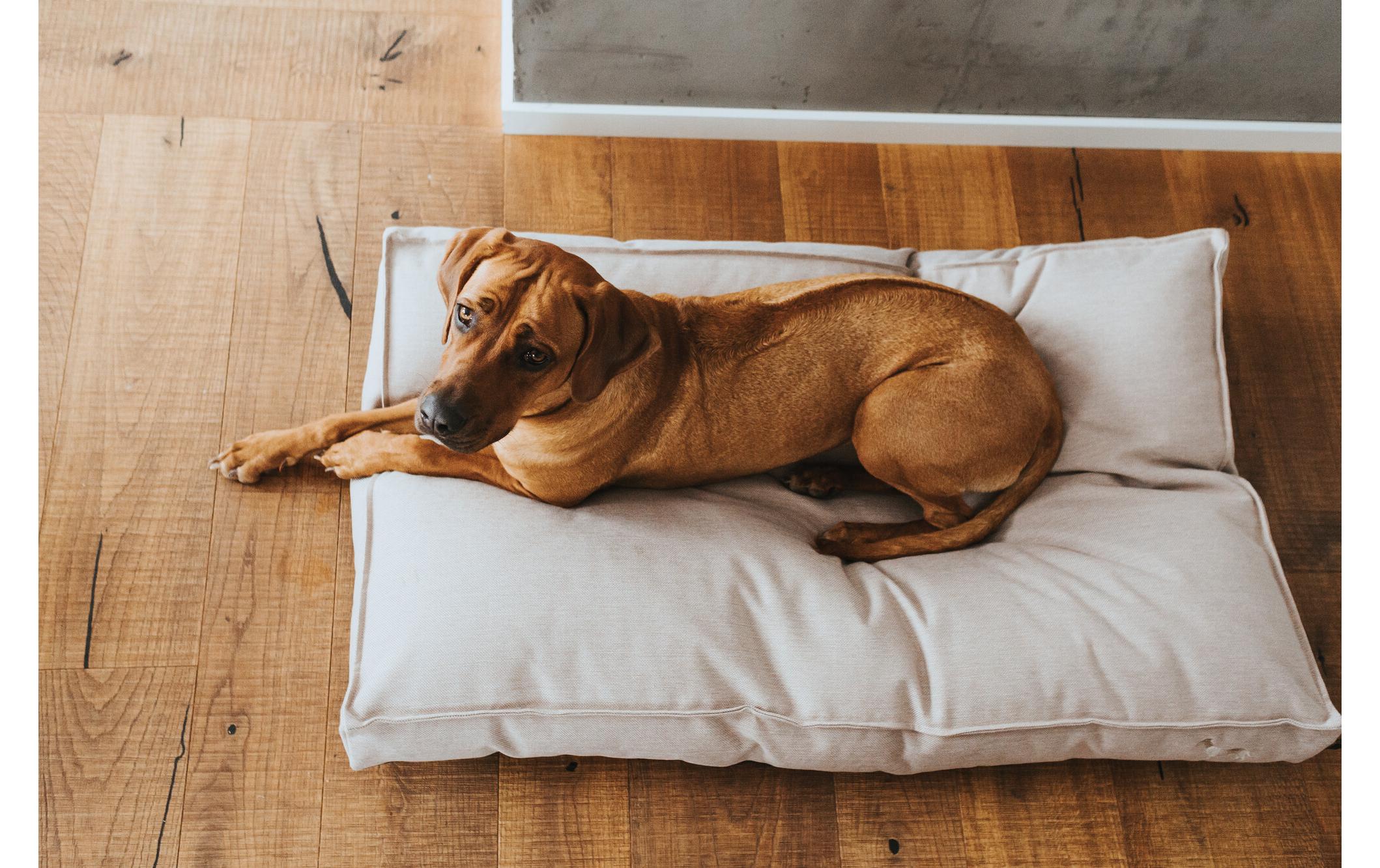 Hunde-Kissen Inari L, 100 x 70 cm, Beige<br>Liegeplatz