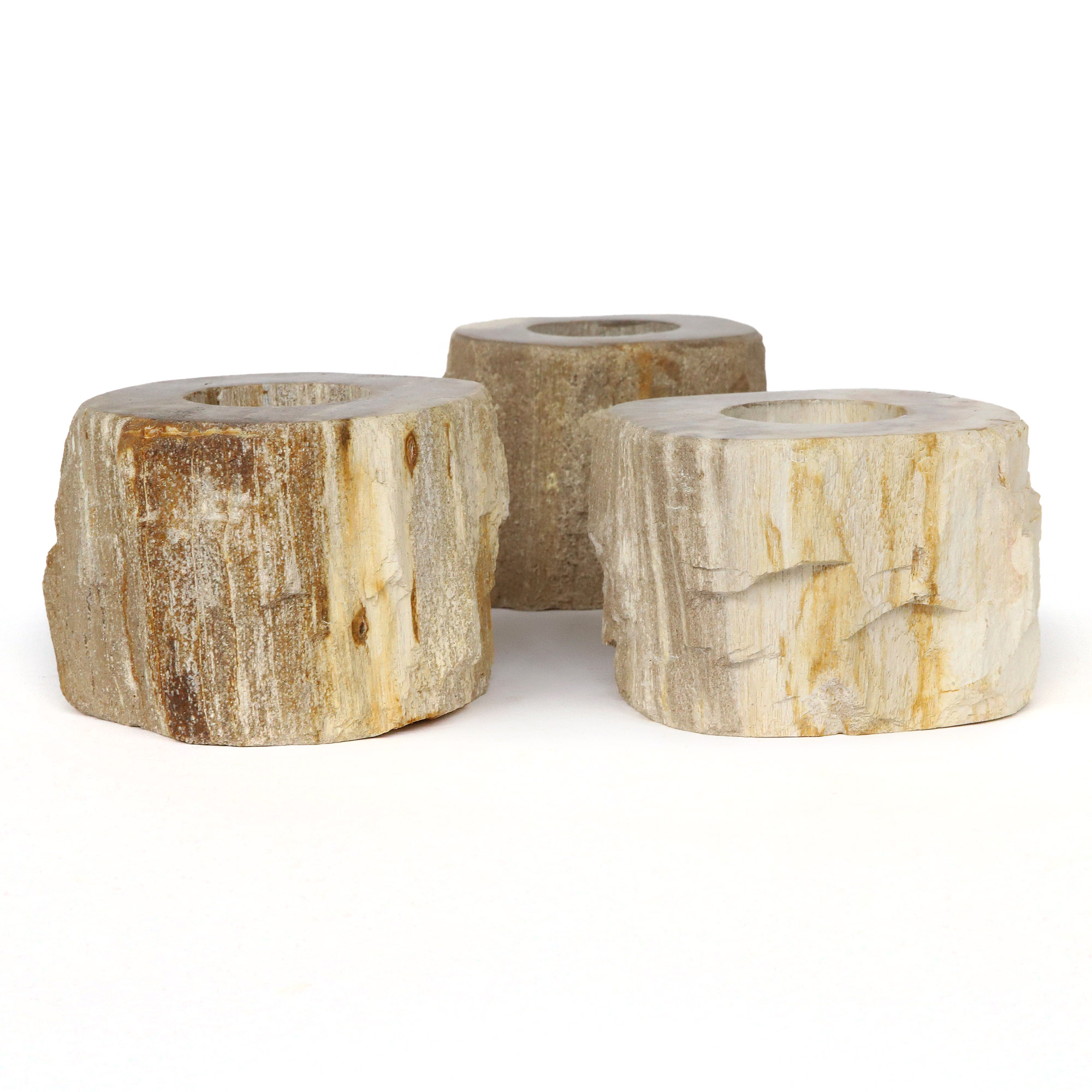 Teelichthalter aus versteinertem Holz, Ø 8-10 cm, H 7 cm von fischer's lagerhaus
