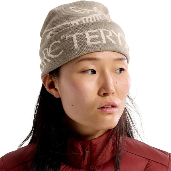 Bonnet ski ARC'TERYX BIRD HEAD TOQUE RUNE / ARCTIC SILK
