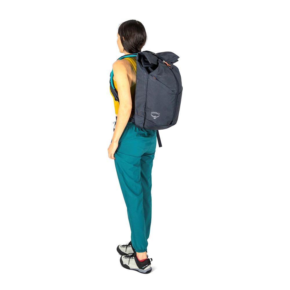Osprey ZEALOT 30L - Sac À dos cetacean blue