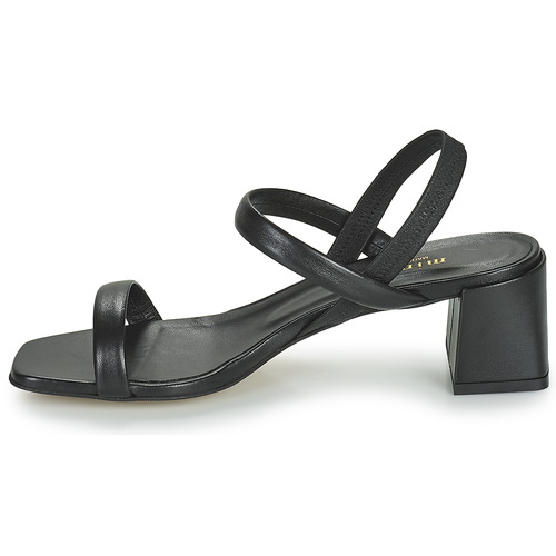 Minelli - TEILYE - Noir