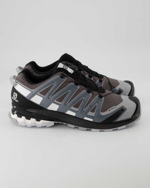 Salomon XA Pro 3D v8 GTX Wanderschuhe in Grau