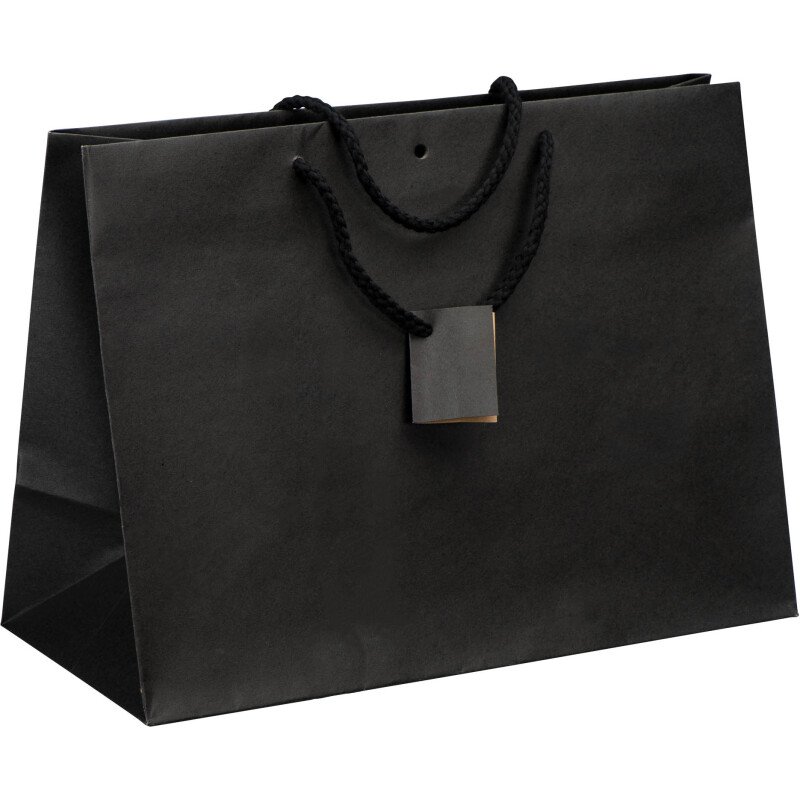 Sacs kraft noir intense poignées cordelières 29 x 39 x 18 cm - 10 sacs