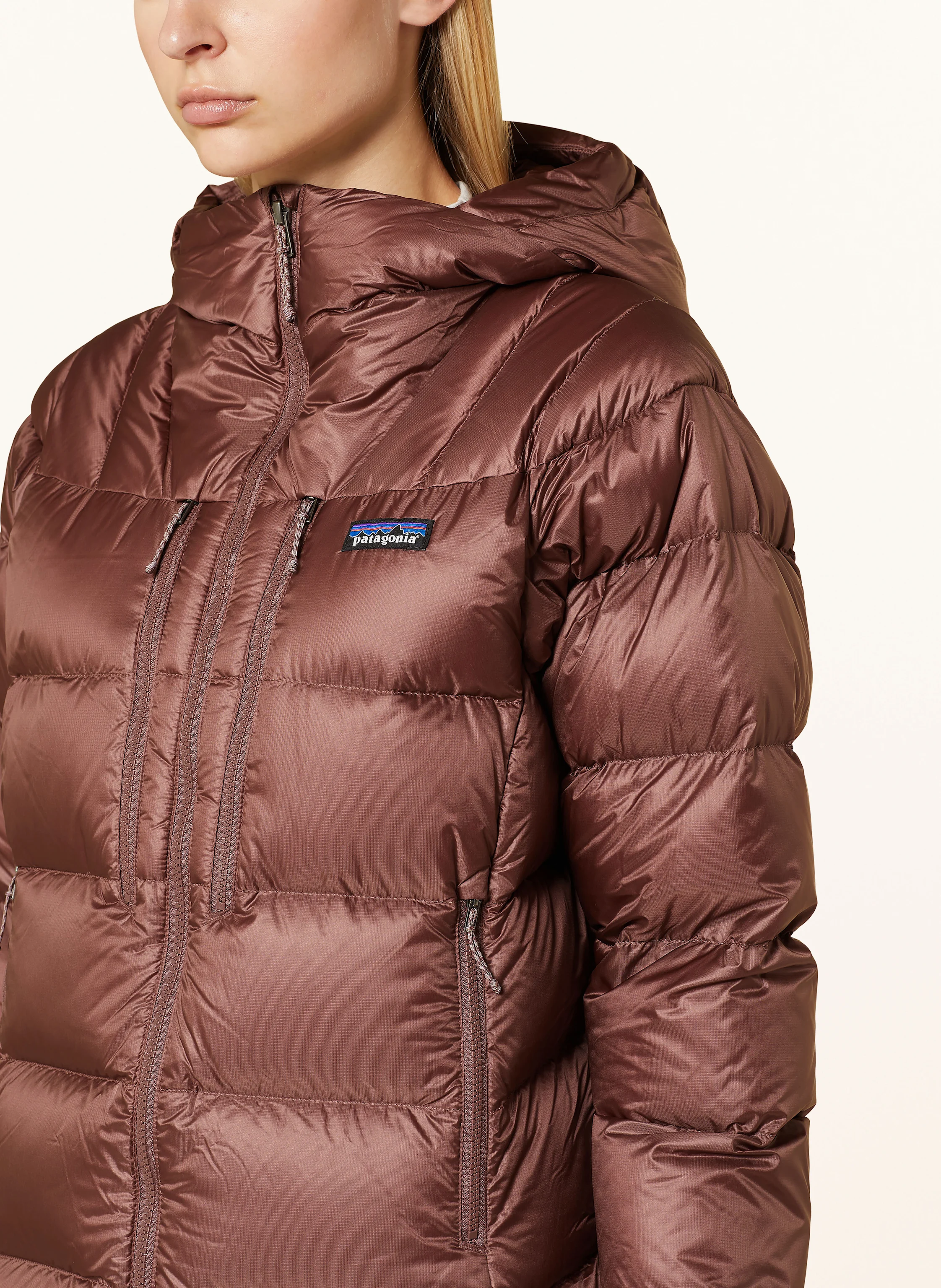 patagonia Daunenjacke FITZ ROY
