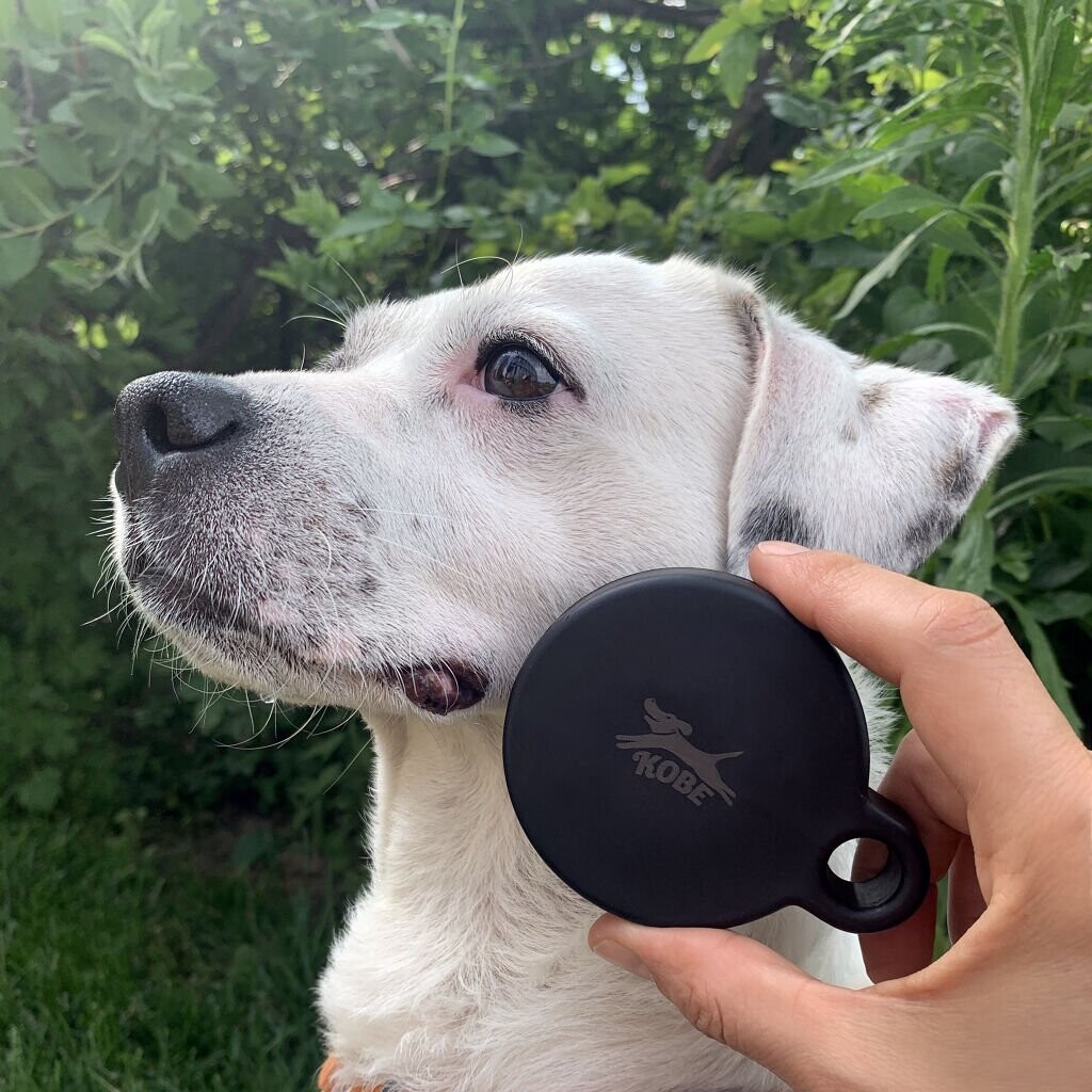 Kikkerland - Spa Kit Til Hunde - Kobe - 4 Dele