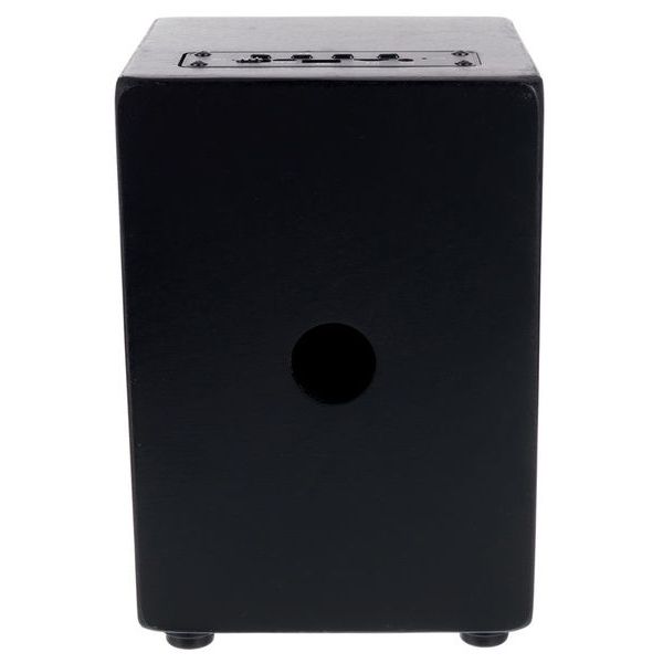 Meinl Mini Cajon Speaker