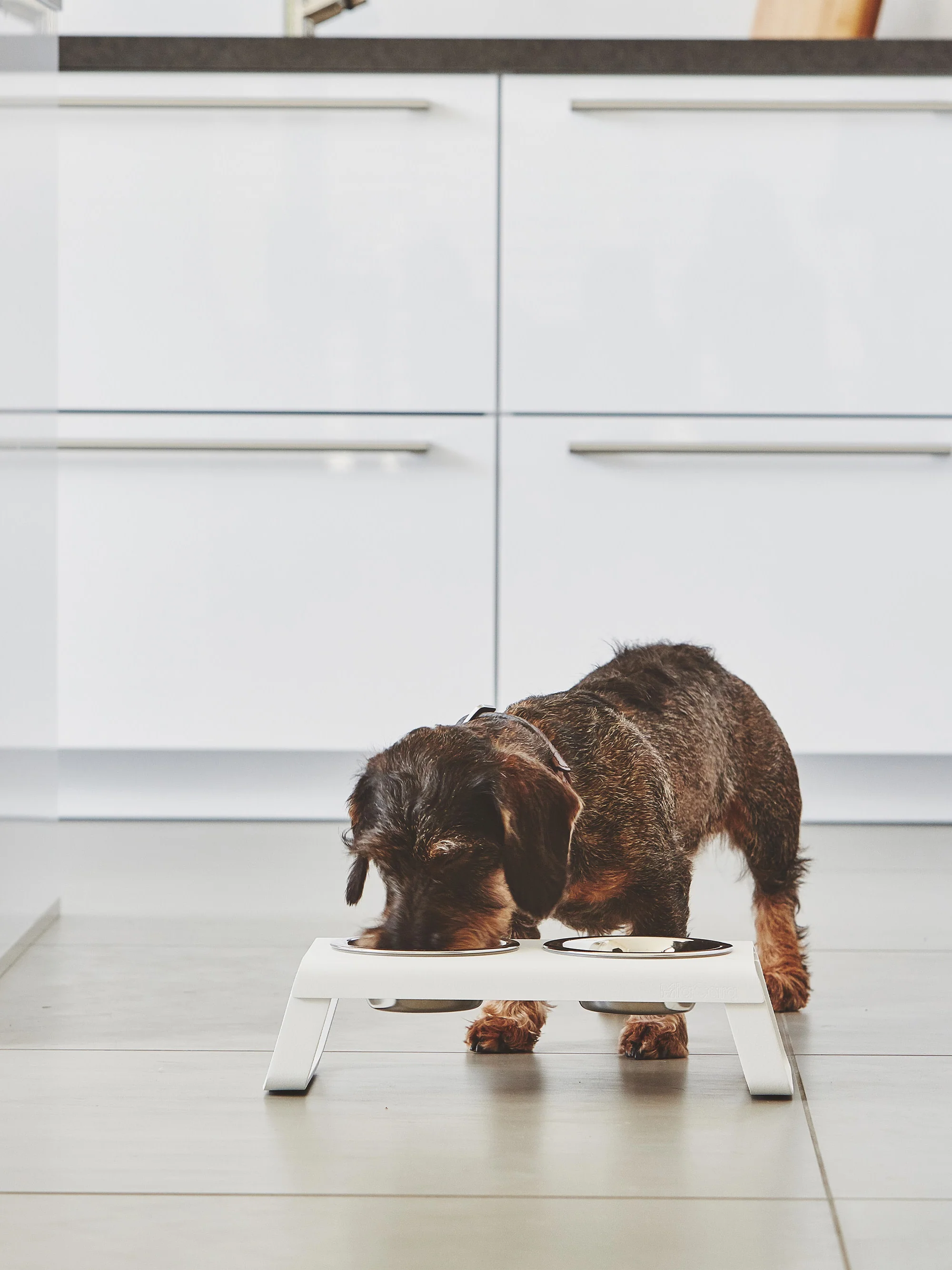 Voerbakken Desco met standaard