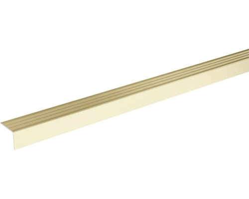 SKANDOR traprandprofiel champagne geanodiseerd zelfklevend 20x24,5x2700 mm