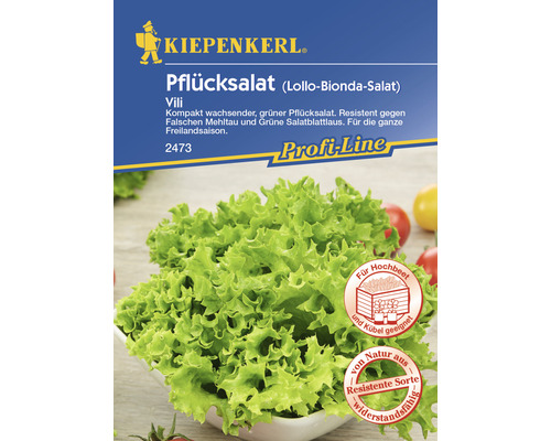 Snij-en-kom-weer-sla/losse-bladsla 'Vili' Kiepenkerl sla zaden
