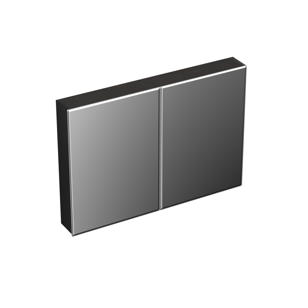 Forzalaqua Uni spiegelkast 100x70cm met 2 deuren black oiled