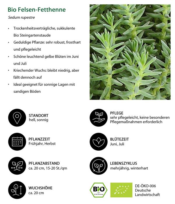 Bio Stauden-Set Alpenliebe, Landlust