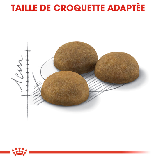 Croquettes chat d'intérieur poils longs Indoor long Hair 4kg