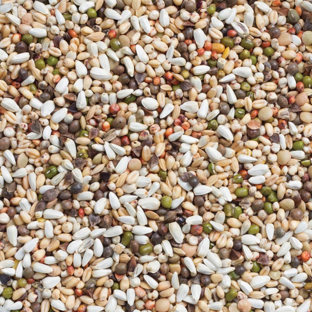 Deli Nature Grote Parkiet en Papegaai Kiemzaad Nummer 3315 kg