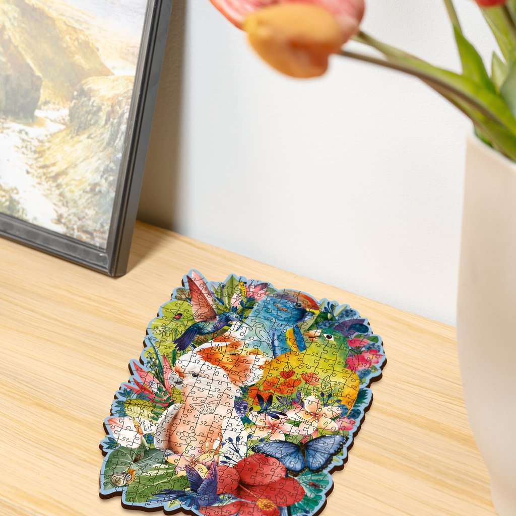 Ravensburger Spiel Exotische Vögel