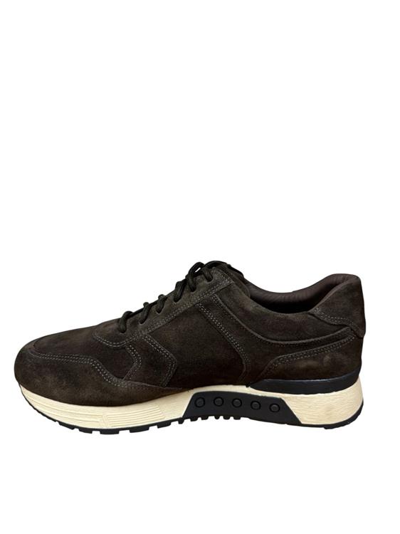 Greve 4299.30 2930 Quinoa suede