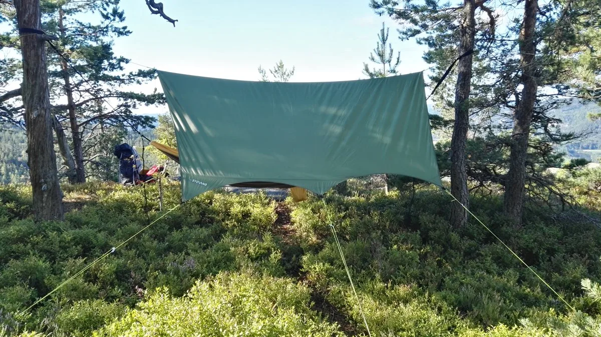 Sydvang Tarp 9 Green