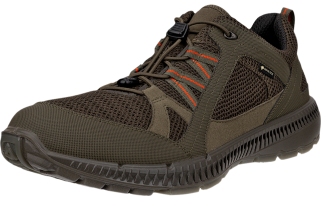 Ecco Terracruise II Herrenschuhe