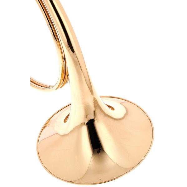 Dotzauer Parforce Horn Bb/Eb 18270