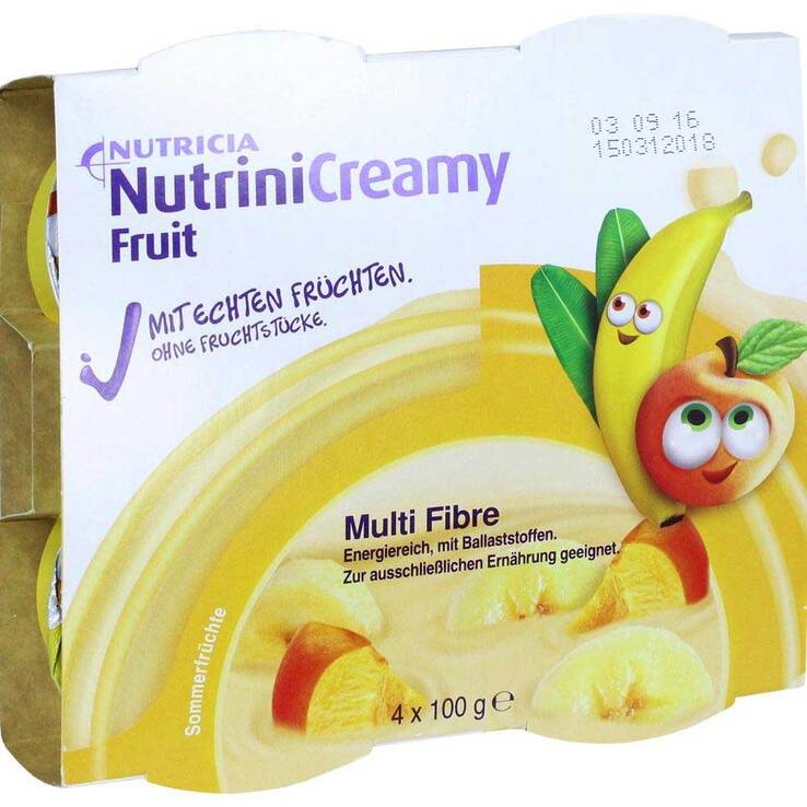 Nutrini Creamy Fruit Sommerfrüchte, 4X100 g