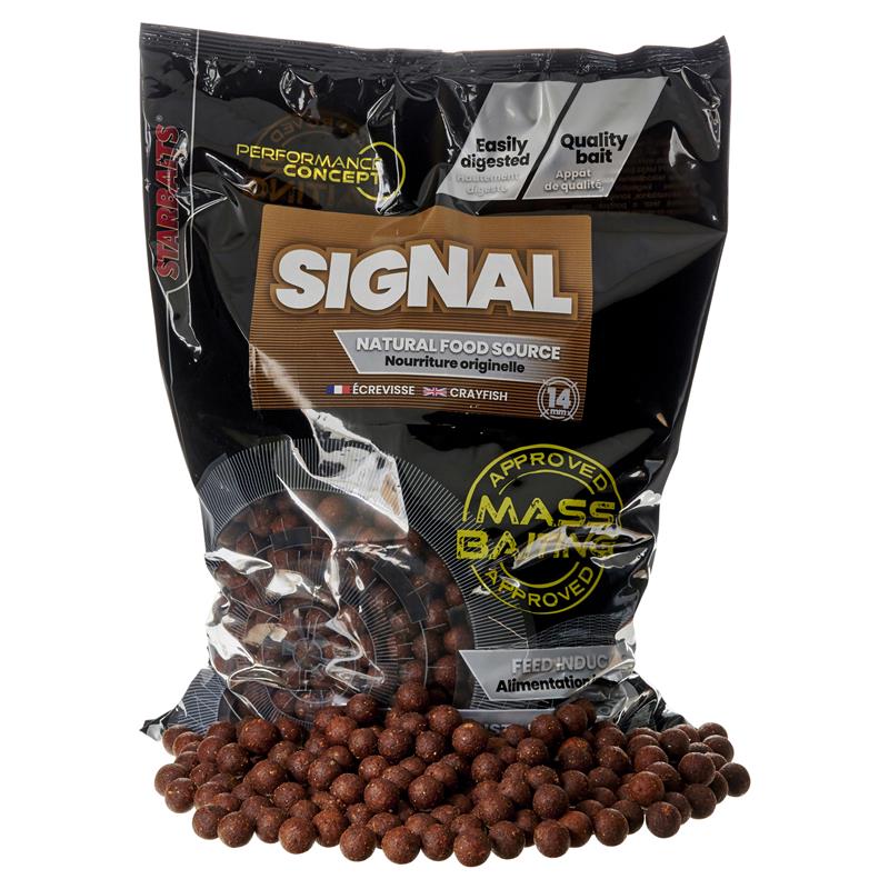 Bouillette Starbaits Performance Concept Signal Mass Baiting