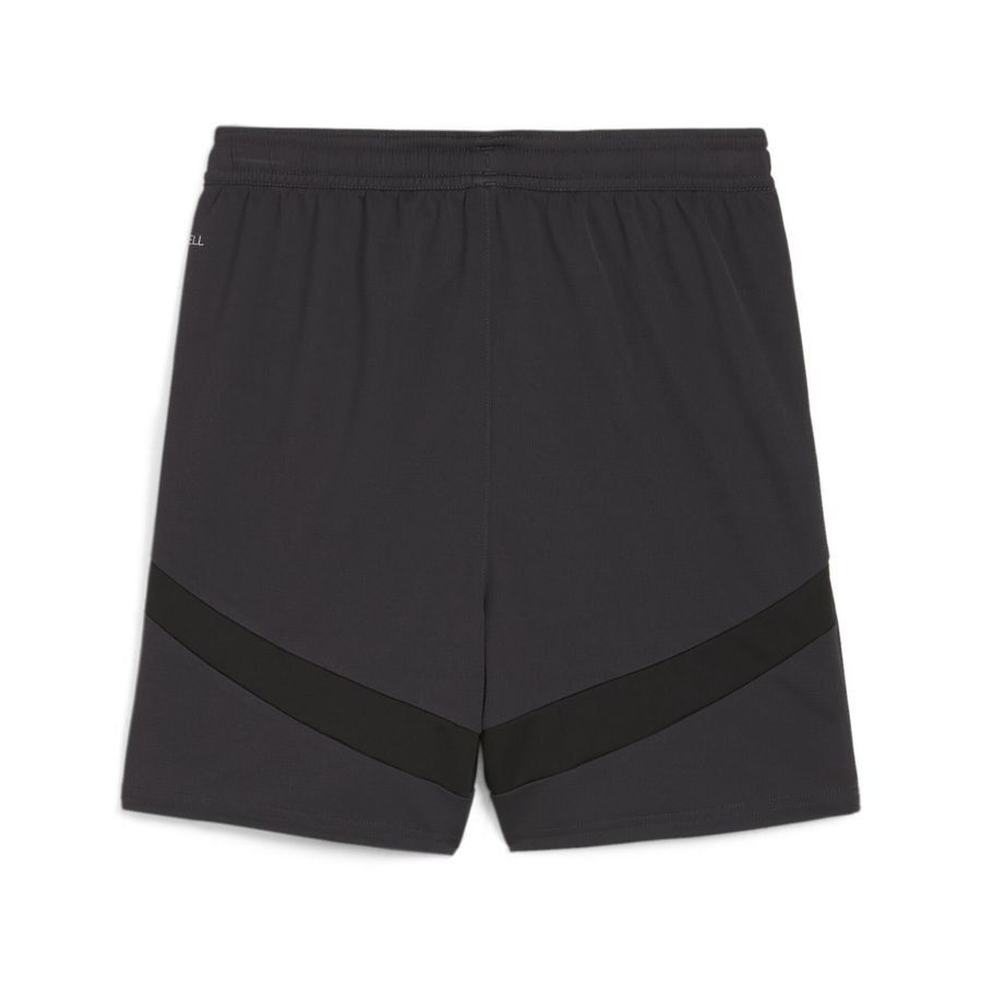 Puma Stade Rennais F.C. 24/25 Shorts