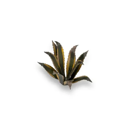 Gamer Grass Basis Gestaltung Pflanzen Agave, 70er Packung
