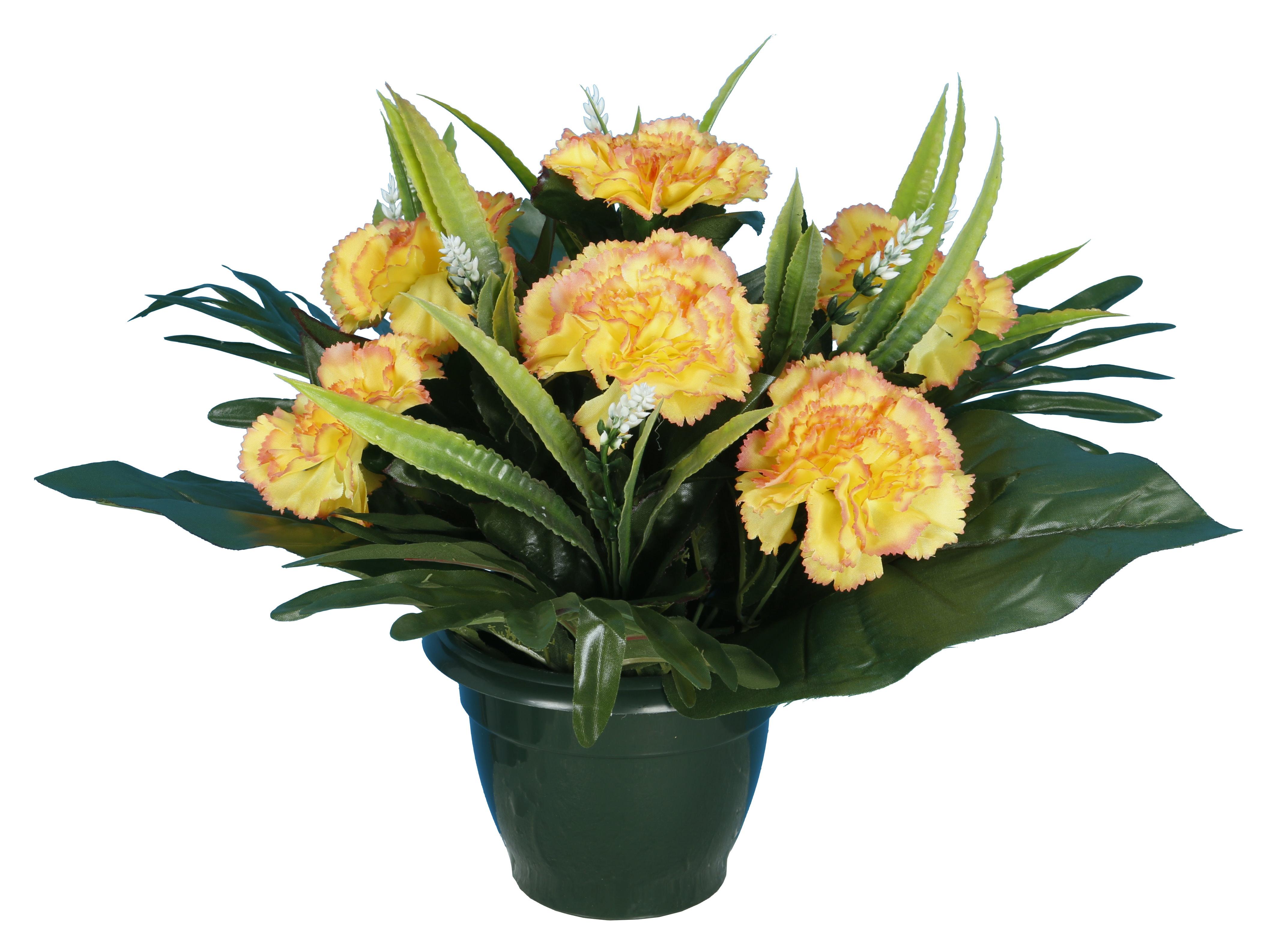 POT OEILLETS