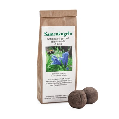 Blumensamen Samenkugeln, Bienen-, Schmetterlingsweide