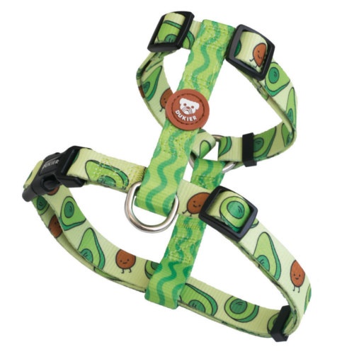 Coleira Dukier Classic com Estampa de Abacate para Cães