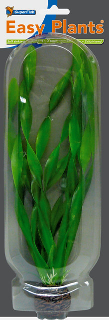 Easy plants hoog 30 cm NR.6, goede kwaliteit.