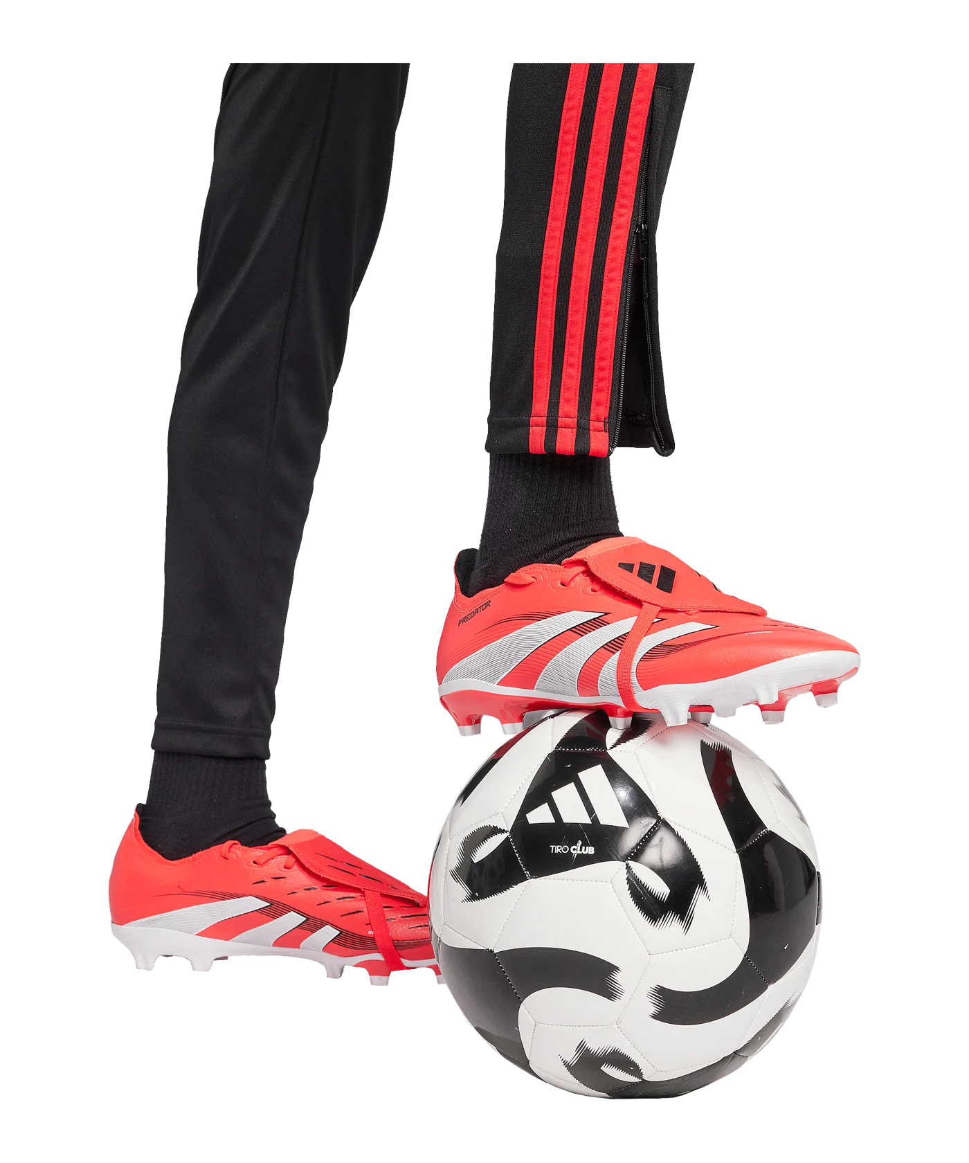 adidas Tiro 24 Trainingshose Kids Schwarz