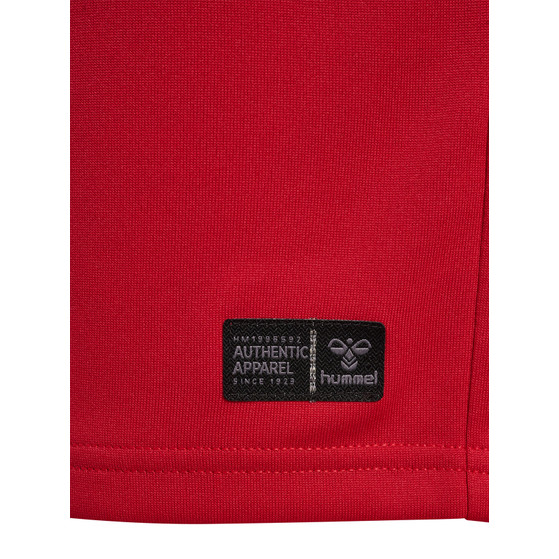 Hummel Denemarken Thuis Shirt Kids WK 2026