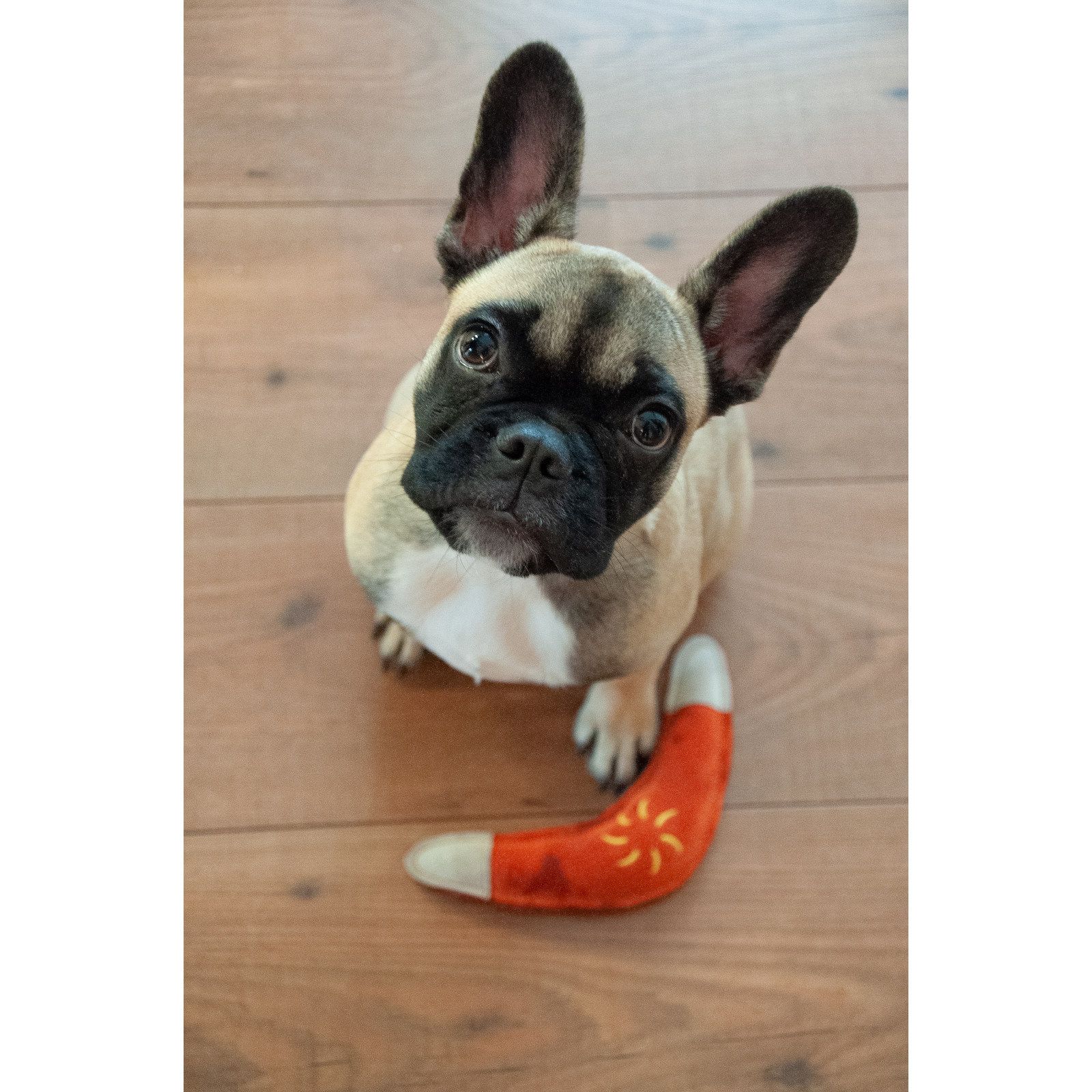 Aumüller Hundespielzeug aus Leder - Esel