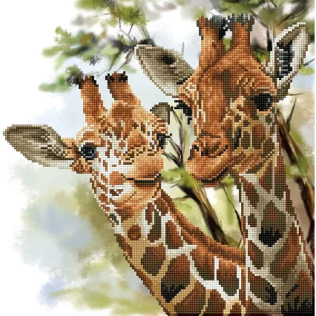 Pracht Diamond Dotz Tall & Tender, ca. 41 x 41 cm groß