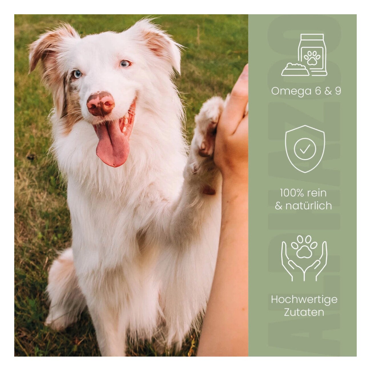 ALPHAZOO Premium Schwarzkümmelöl für Hunde 250 ml
