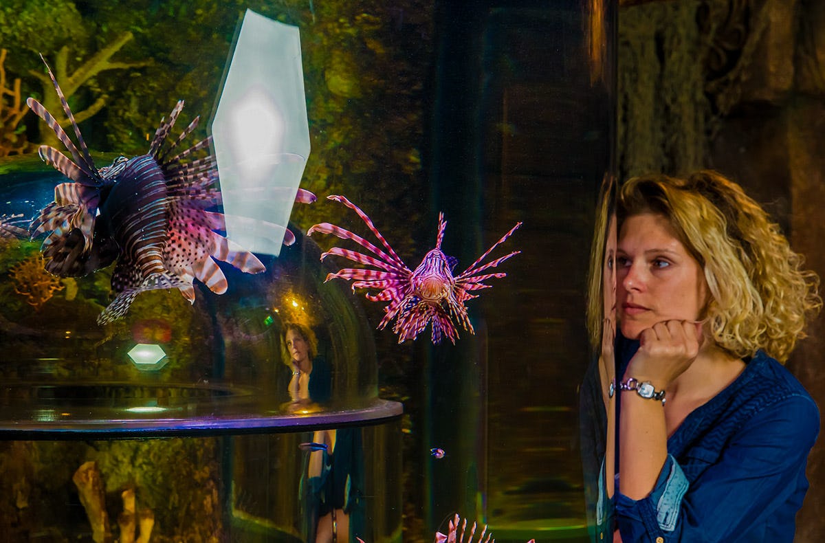 Sea Life München