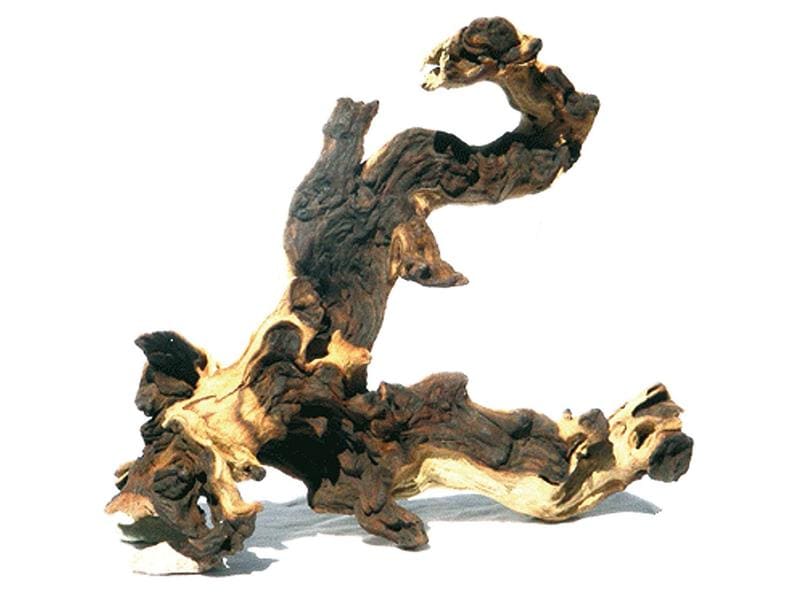 AMAZONAS Dekoration Mopani Holz M, 30-35 cm Natürliche Aquariendekoration