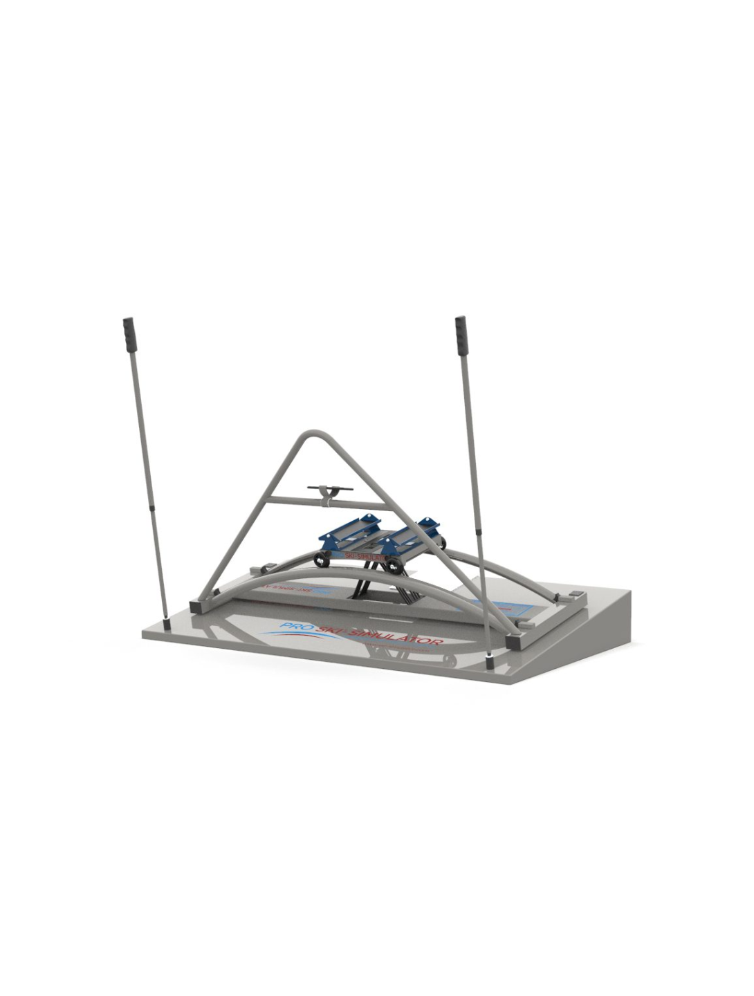 Professional Ski Simulator skisimulator