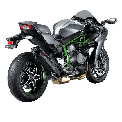 Silencieux Akrapovic Carbone