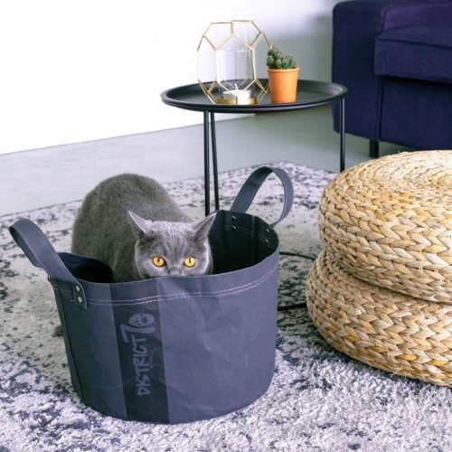 Cama de papel para gatos District70, cinza escuro