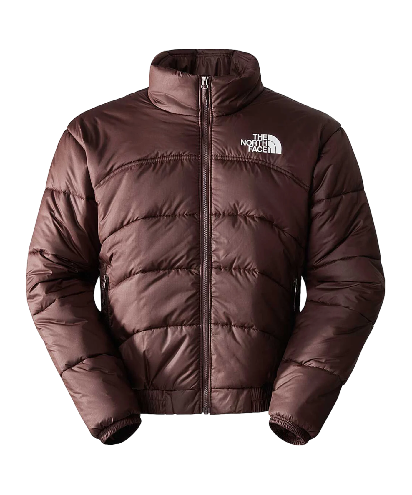 The North Face 2000 Jacke Braun FI0I