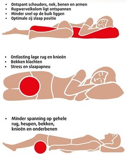Lucovitaal Bamboe Ondersteuningskussen 1ST