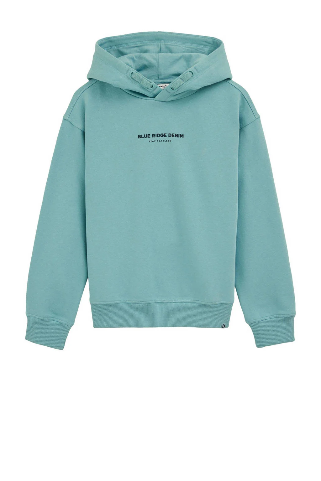 WE Fashion Blue Ridge hoodie blauw